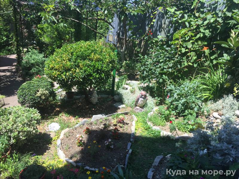 Фотогалерея